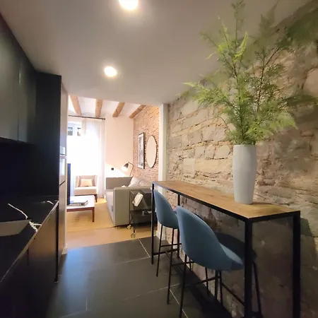 Lejlighed Luxury 2br&2washrooms City Center Barcelona